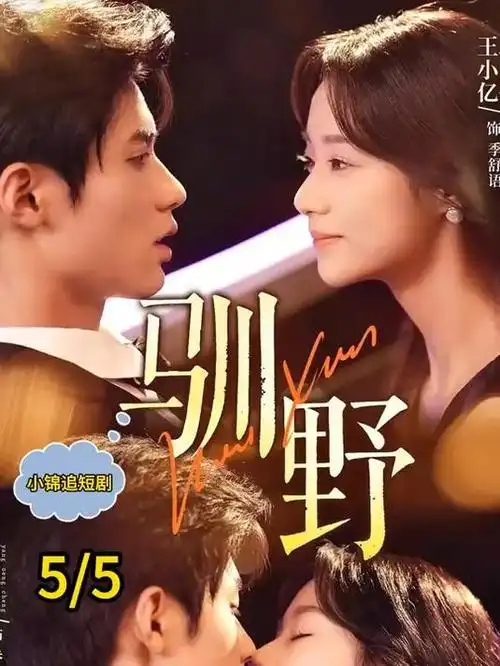 南山往事电视剧全集在线观看
